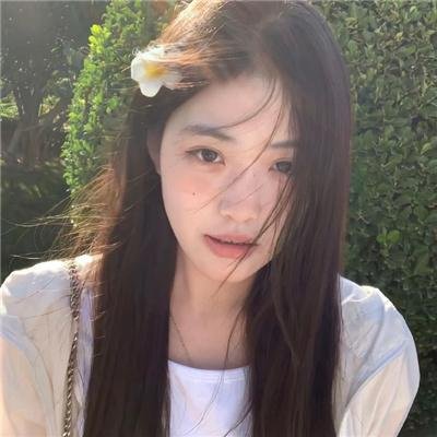 朵儿的战争