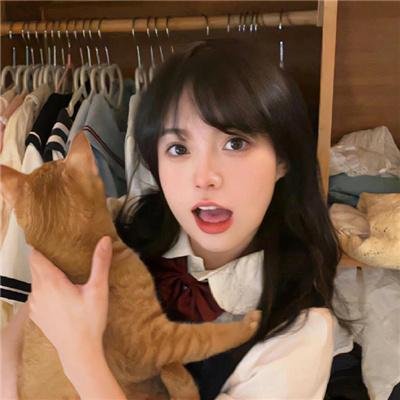 南极大冒险